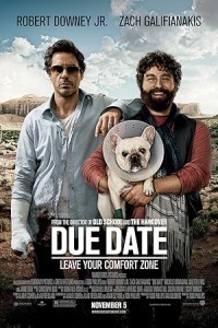 Due Date (2010) Hollywood Hindi Dubbed